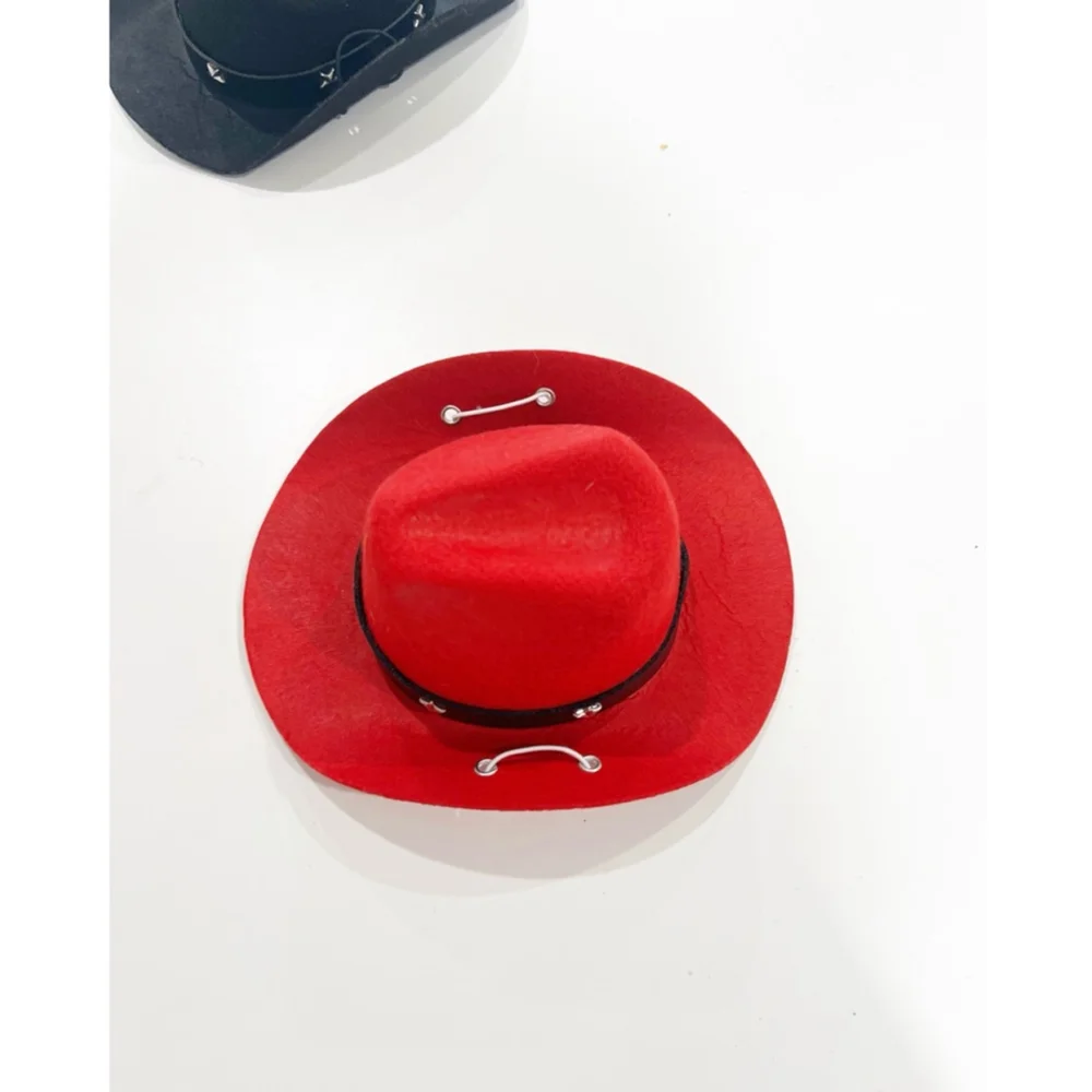 Adorable pet cowboy hats 🧢🐾🐶🐱🐈